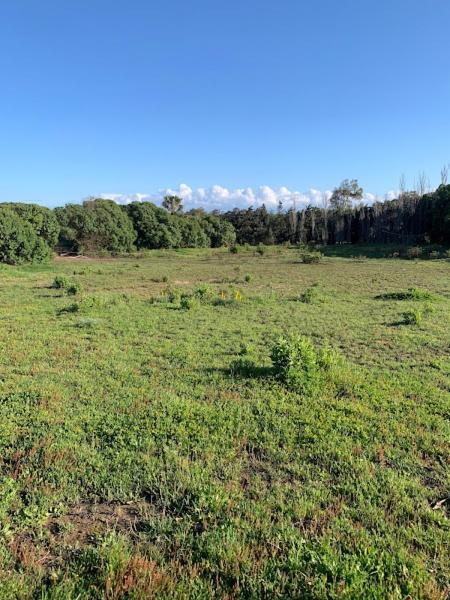 Finca Dos Vientos Tarifa Esterno foto