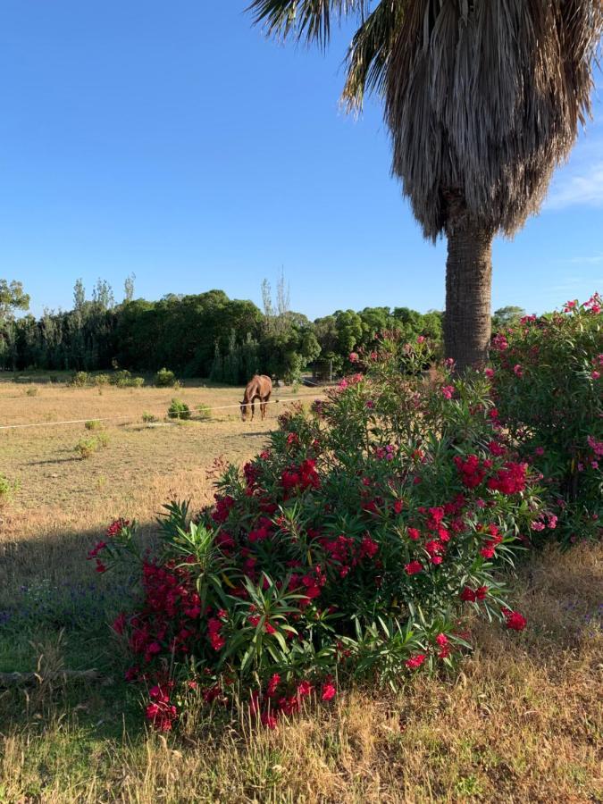 Finca Dos Vientos Tarifa Esterno foto